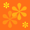 taradBG448