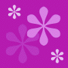 taradBG453