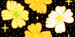 taradBG538