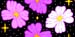taradBG542